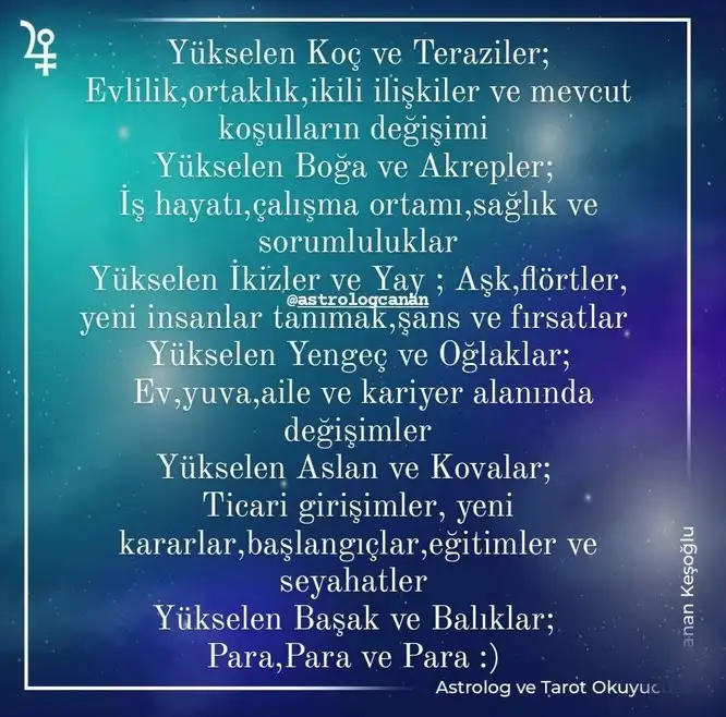 t65.webp
