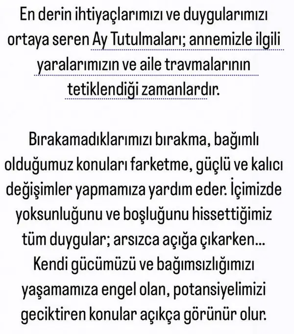 t8 (2).webp