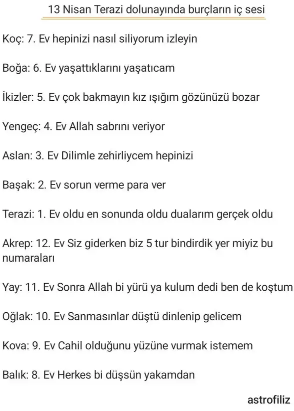 t8.webp