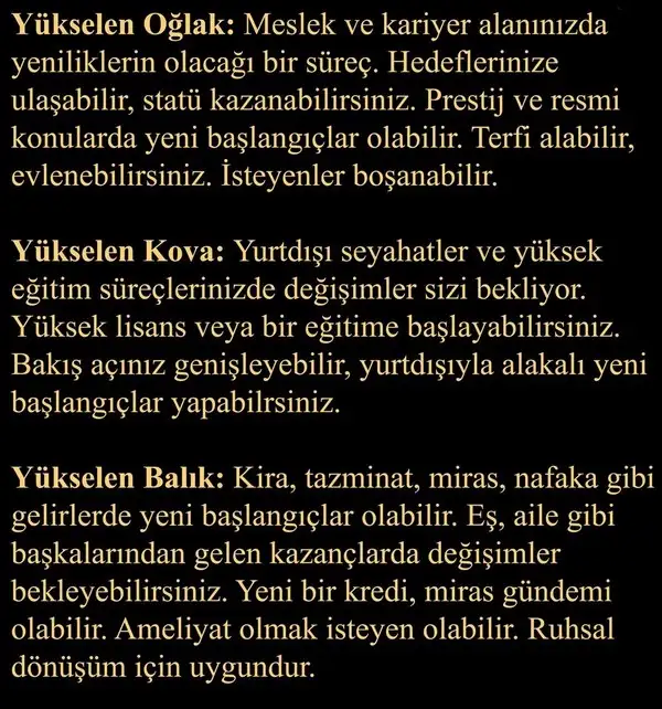 t9 (5).webp