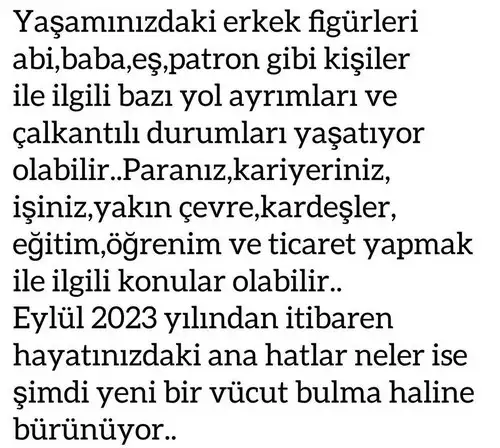 te1 (2).webp