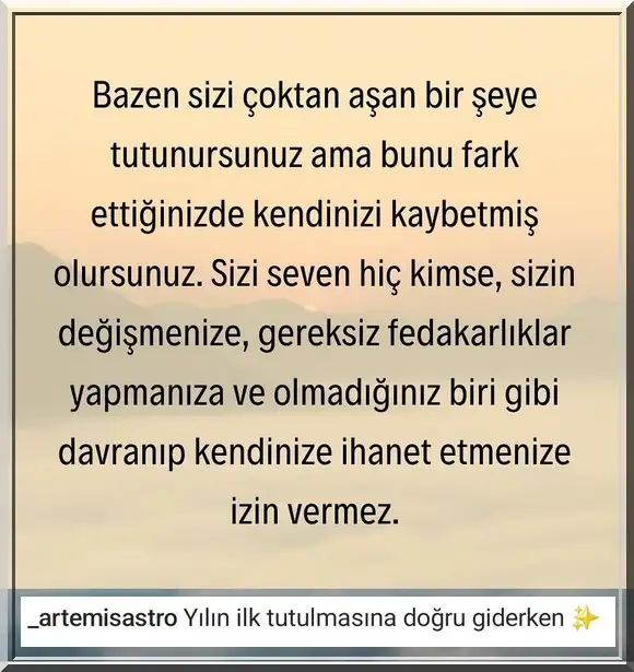 te11.webp