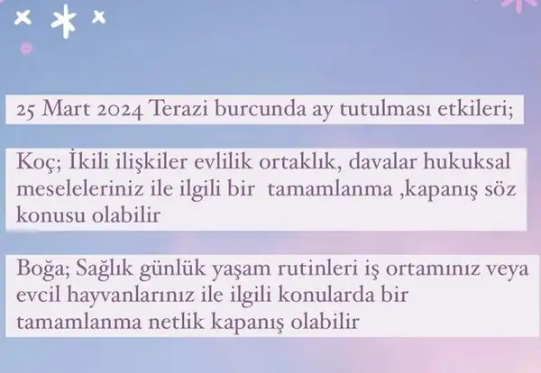 te14 (1).webp