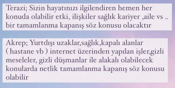 te14 (4).webp