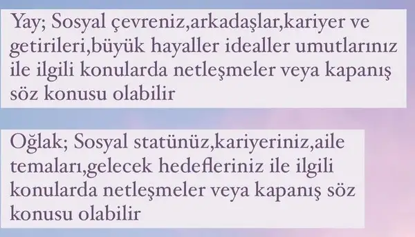 te14 (5).webp