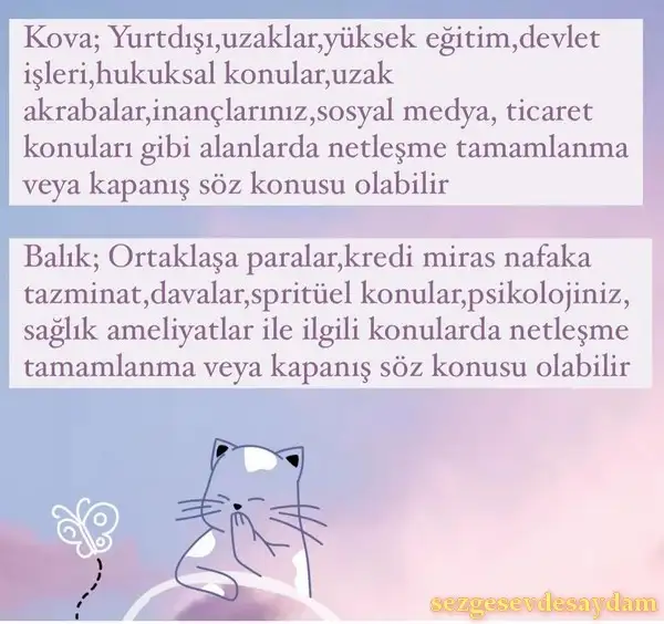 te14 (6).webp