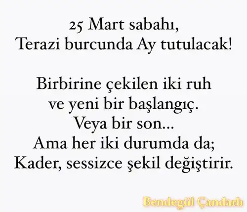 te2 (2).webp