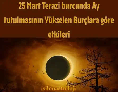 te4 (1).webp