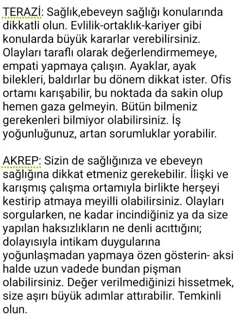 te4 (5).webp
