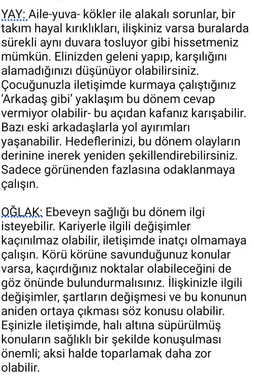 te4 (6).webp