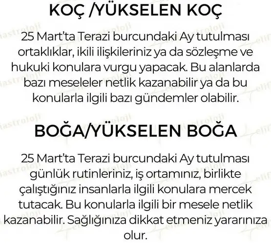 te5 (2).webp