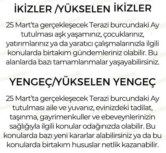 te5 (3).webp