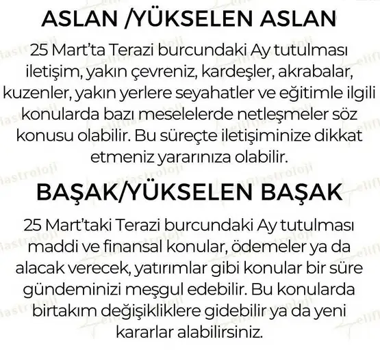 te5 (4).webp