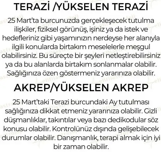te5 (5).webp