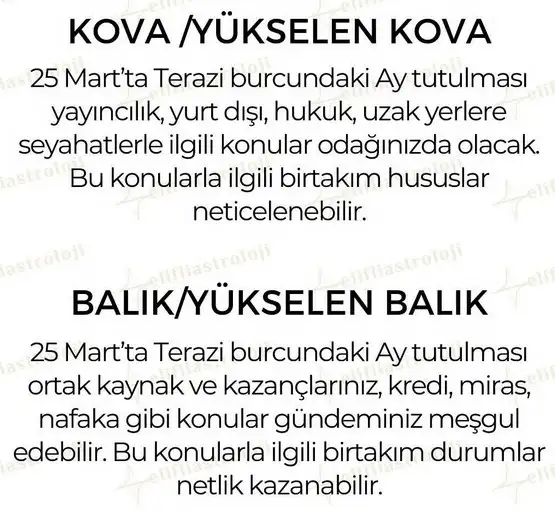 te5 (7).webp
