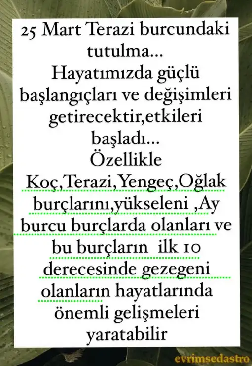 te7.webp