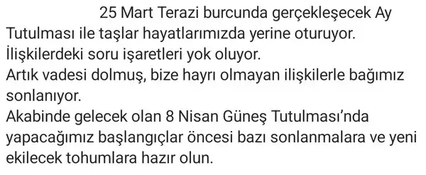 te8 (2).webp