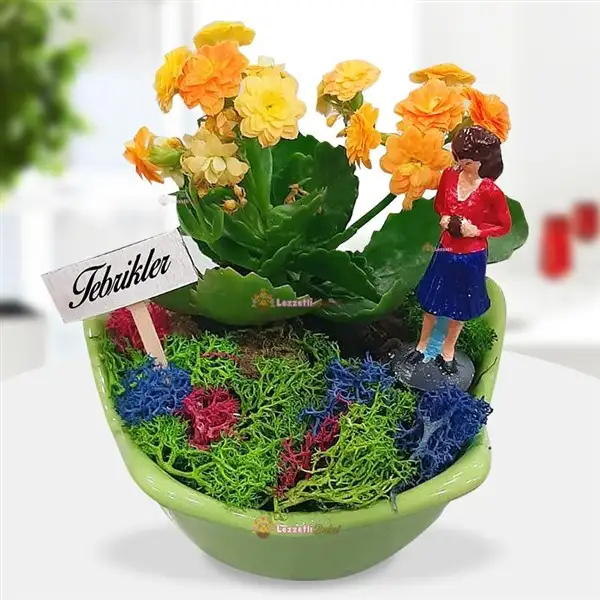 tebrik_cicegi-1.webp