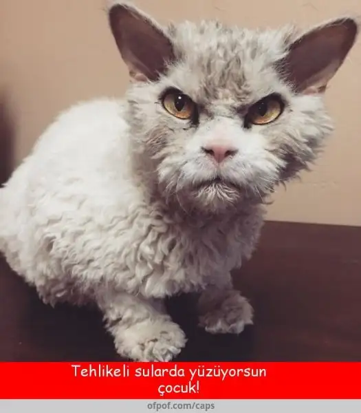 tehlikeli sular.webp