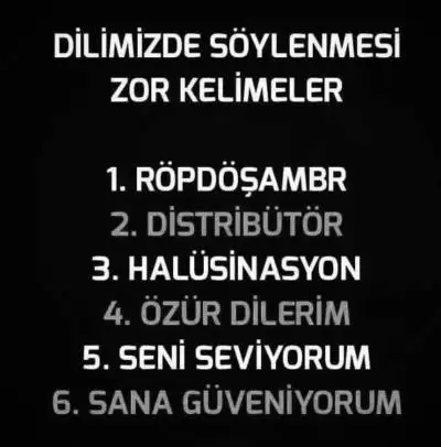 Telaffuz_etmekte_zorlandiginiz_kelime_hangisi.jpg