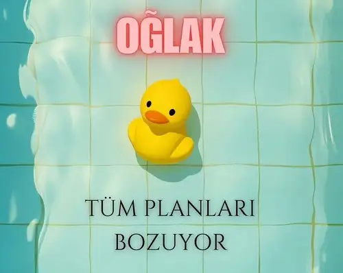 tem (10).webp
