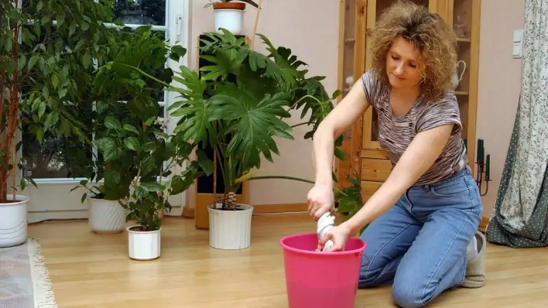 temizlik-nasil-yapilir-3.webp