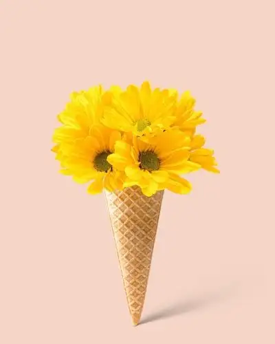 temm (5).webp