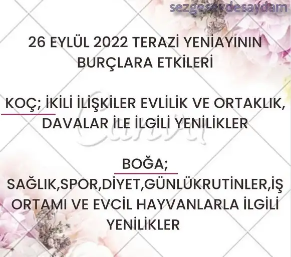 ter1 (1).webp