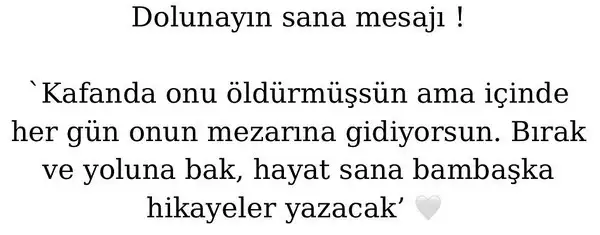 ter1 (1).webp