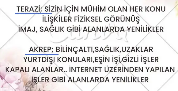 ter1 (4).webp