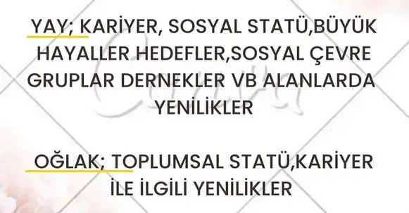 ter1 (5).webp