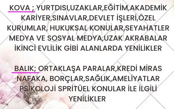 ter1 (6).webp