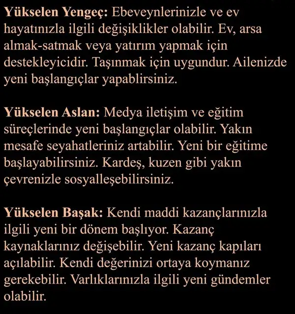 ter10 (3).webp