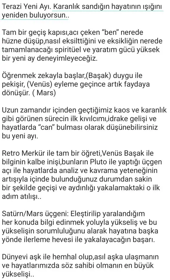ter11 (2).webp