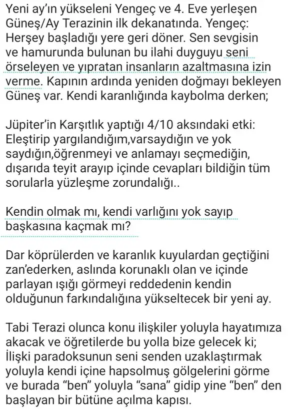 ter11 (3).webp