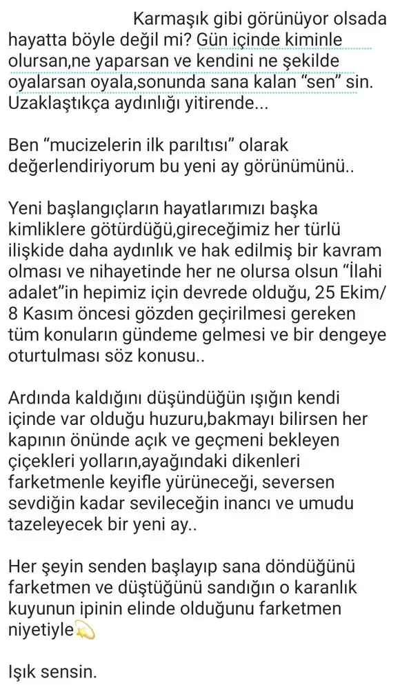ter11 (4).webp