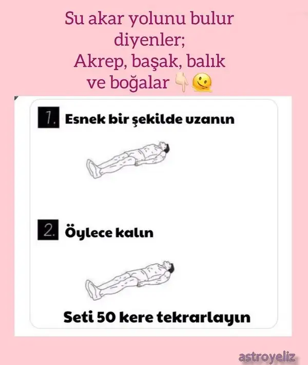 ter15 (3).webp