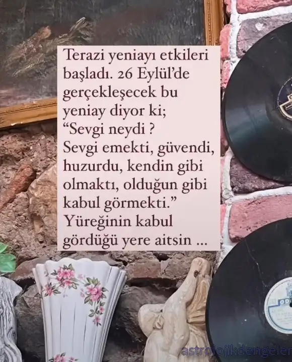 ter2 (1).webp