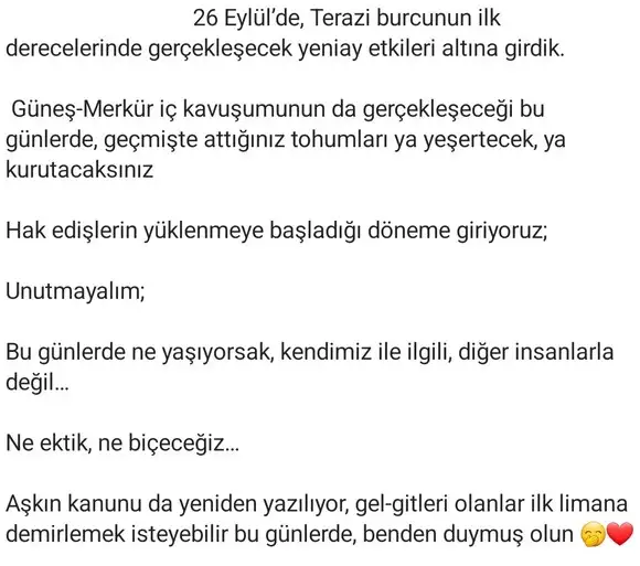 ter2 (2).webp