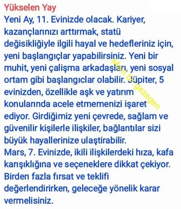 ter22 (10).webp