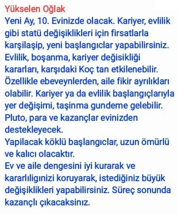 ter22 (11).webp