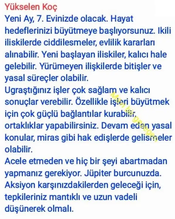 ter22 (2).webp