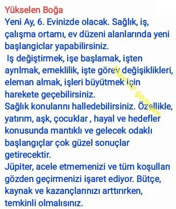 ter22 (3).webp