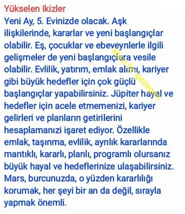 ter22 (4).webp