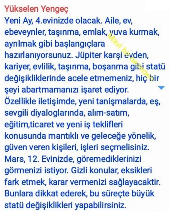 ter22 (5).webp