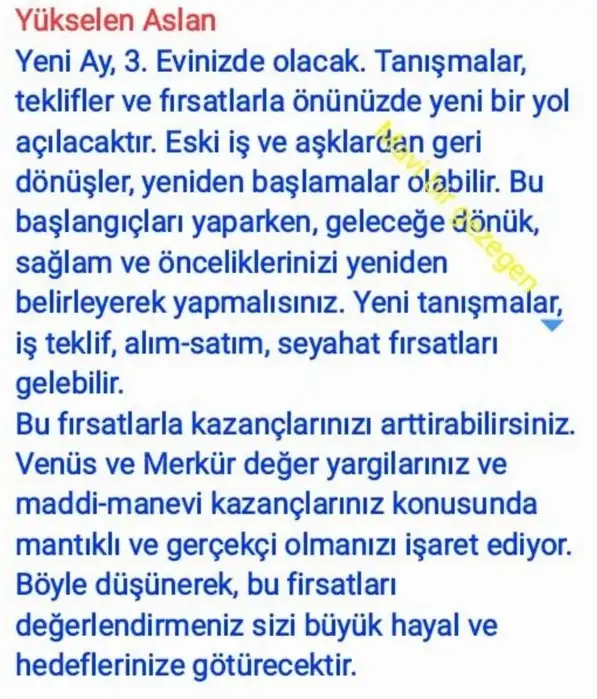 ter22 (6).webp