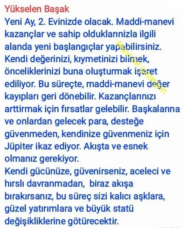 ter22 (7).webp