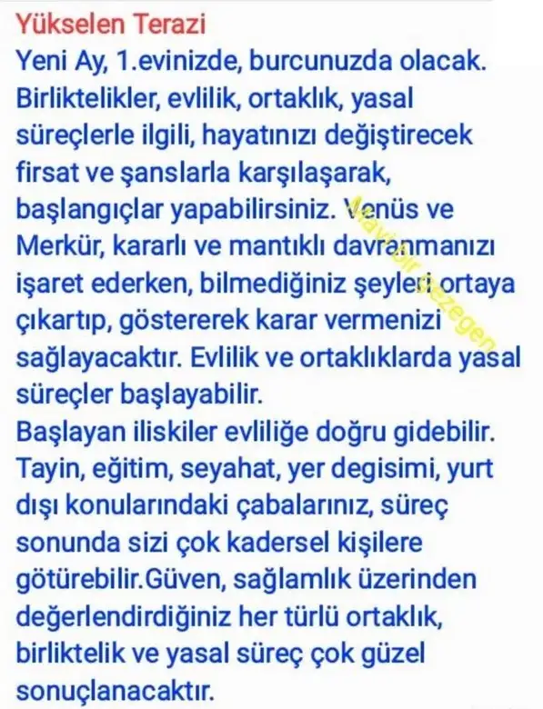 ter22 (8).webp