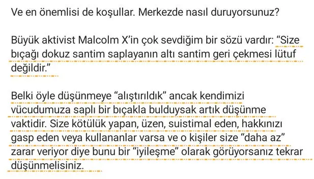ter3 (2).webp