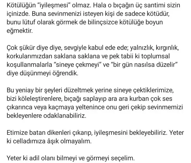 ter3 (3).webp